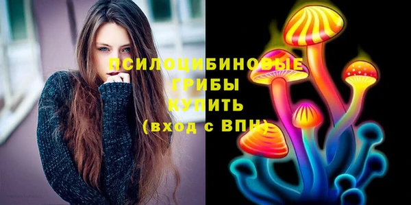 спиды Алексин