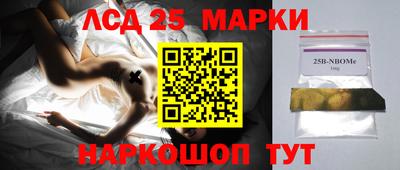 молекула духа Кулебаки