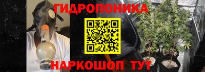 молекула духа Кулебаки