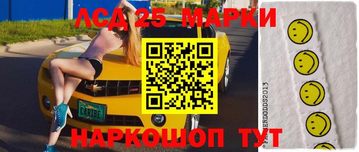 Галлюциногенные грибы Карпинск