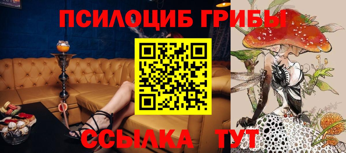Псилоцибиновые грибы Magic Shrooms Карпинск